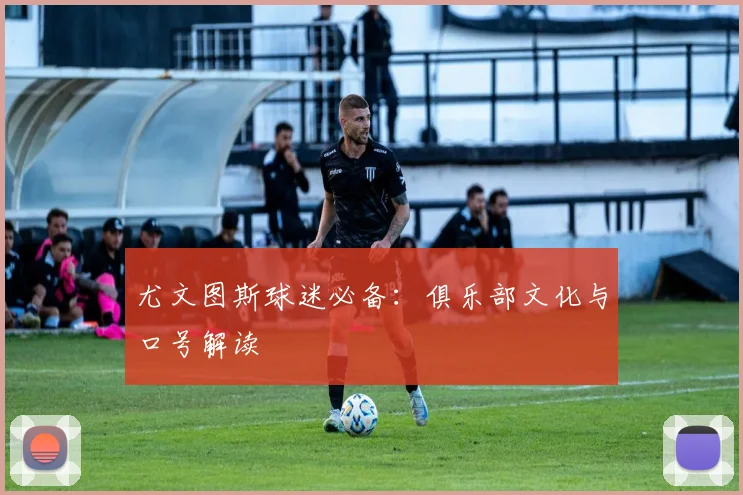 尤文图斯球迷必备:俱乐部文化与口号解读