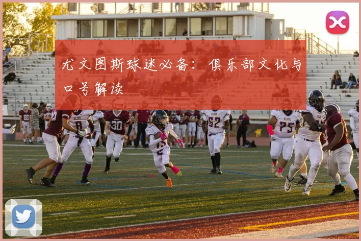 尤文图斯球迷必备：俱乐部文化与口号解读