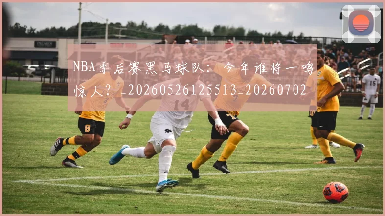 NBA季后赛黑马球队:今年谁将一鸣惊人?_20260526125513_20260702164942