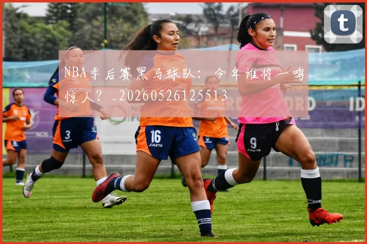 NBA季后赛黑马球队：今年谁将一鸣惊人？_20260526125513