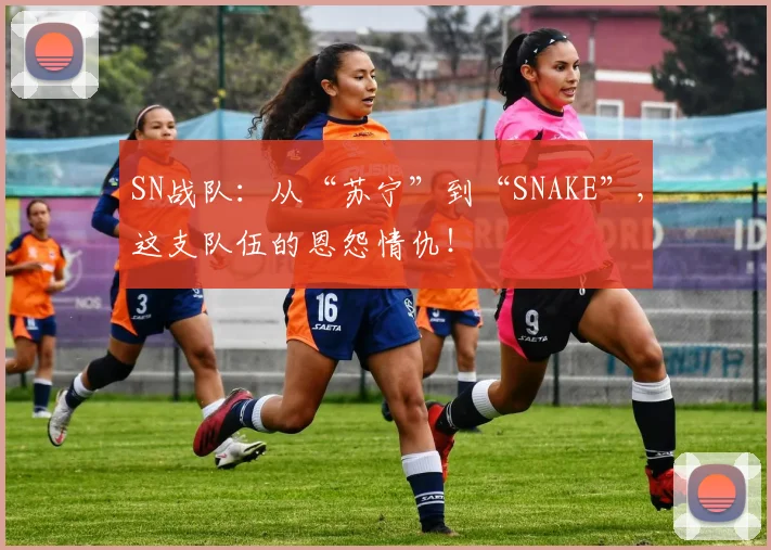 SN战队:从“苏宁”到“SNAKE”,这支队伍的恩怨情仇!