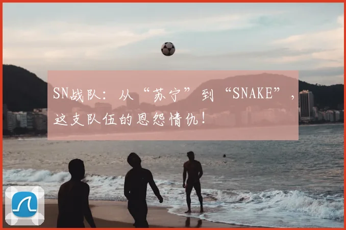 SN战队：从“苏宁”到“SNAKE”，这支队伍的恩怨情仇！